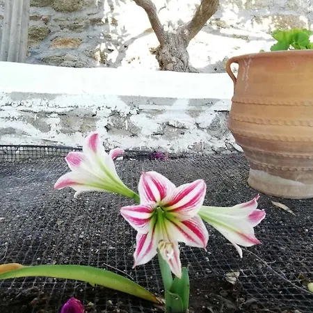 Apartamento Seatinview *