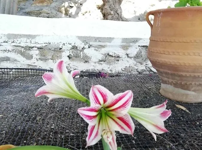 아파트 Seatinview *